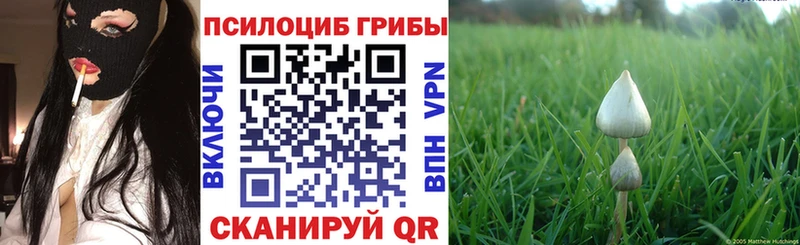 Псилоцибиновые грибы мицелий  гидра ONION  Людиново 