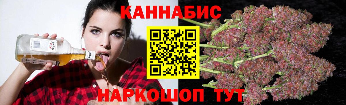 Конопля сатива Людиново